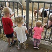 Krissie Baer's photo