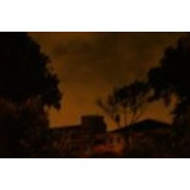 Joey Wee's photo