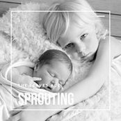 Kathy Altergott's photo