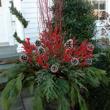 Festive Holiday Displays
