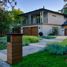 WOODLAND GARDEN