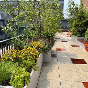 Soho Roof Terrace, Pergola, Kitchen, Outdoor TV, Native Plantings