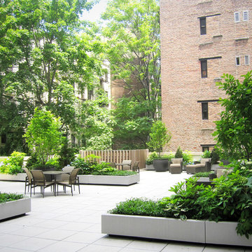 55 Thompson Street