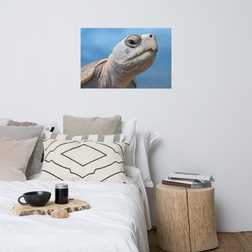 Ghost of the Sea Kemps Ridley Sea Turtle Coastal Photorealism Digital Art Loose