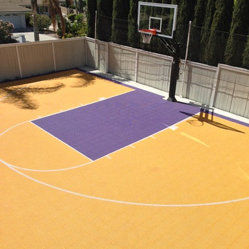 Peter B's Pro Dunk Platinum Basketball System on a 46x35 in Buena Park, CA