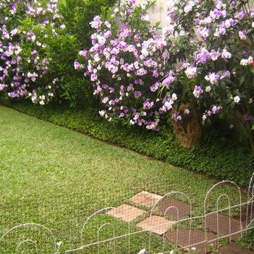 Guatemala City VHI