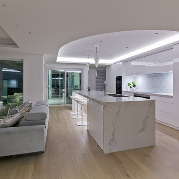 Palatial Penthouse