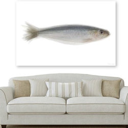 Sardine Artwork - Fine Art Prints