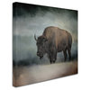 Jai Johnson 'Stormy Day Buffalo' Canvas Art, 35 x 35