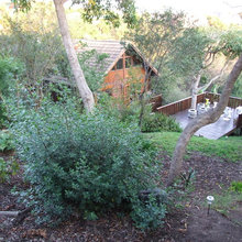 Waterfall and pond renovation