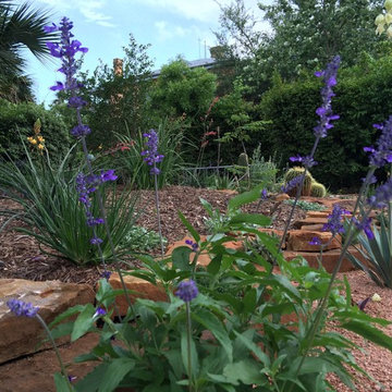Xeriscape #1