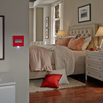 adorne® Paddle Switches in Magnesium in Red 2-Gang Wall Plate
