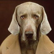 Mauro Vignoli's photo