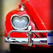 Sara Lively's photo