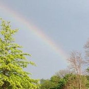 Barbara Volz's photo