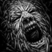 Alexander Grenke's photo