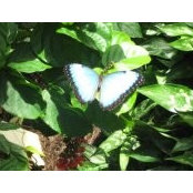 Michelle Baird's photo