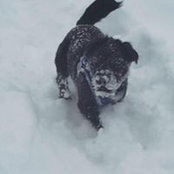Heather Nyen's photo