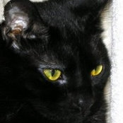 Pat Leneck's photo