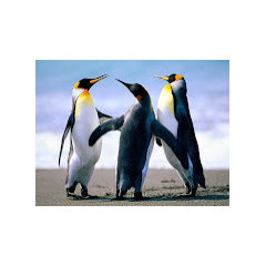 Mope