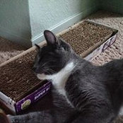 Barbara Parker-Griess's photo