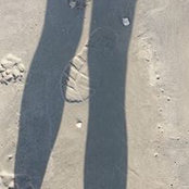 Denise Maida's photo