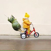 Maud Gendron's photo