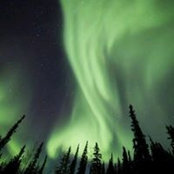 Andrei Voicu's photo