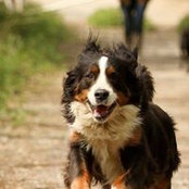 Markus Breitbach's photo