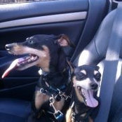 Ronni Kranig's photo