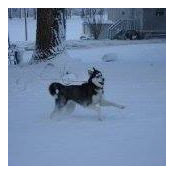 Foto von Jennifer Moore