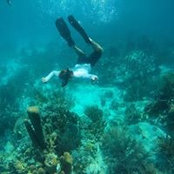 Andrew Bendicksen's photo