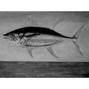 James de Boer's photo