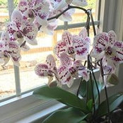 Jamie Schroer's photo