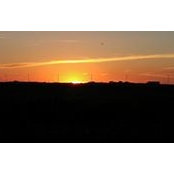 Jake Elias's photo