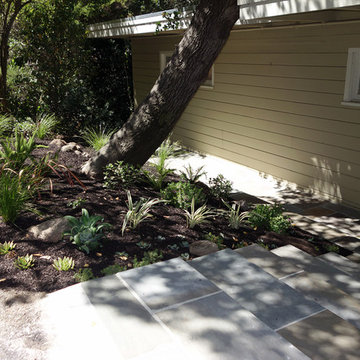 Sausalito Landscape Remodel With Bluestone Stairs, Pathway & Low Water Plants