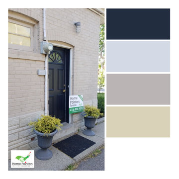 Variety of Color Palettes