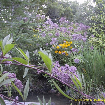 Naturalized Areas