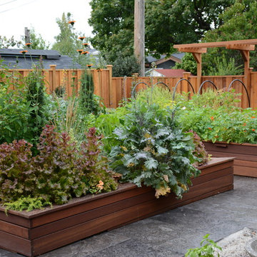 Raised Vegetable / Ornamental Garden