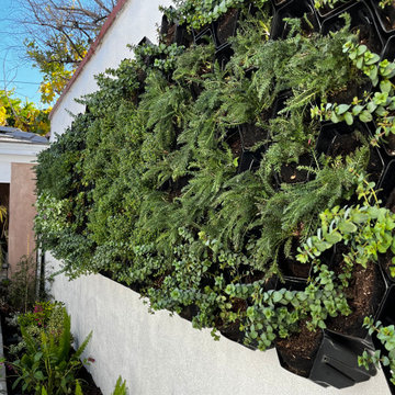 Living wall- NOT for the faint at heart