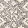 Safavieh Adirondack Adr107B Southwestern Rug, Ivory/Silver, 2'6" X 14'0"