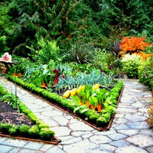 path for front yard
