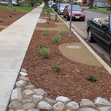 Edible Landscape and xeriscape