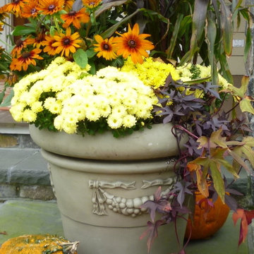 Container Design - Fall