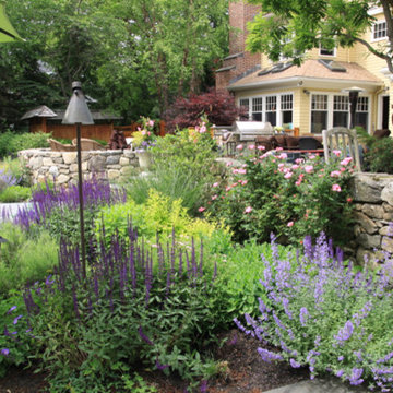 Coastal plantings, June 2014