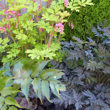 A favorite springtime plant combination