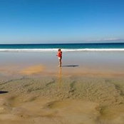 Paulette Scott's photo