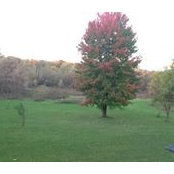 Judith Martin Bradley's photo
