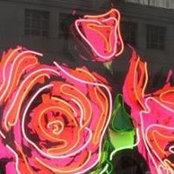 Foto von Vera Grimes