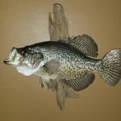 Dallas Kroeze's photo
